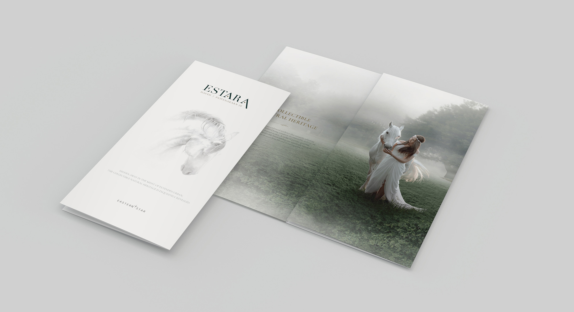 ESTARA_Leaflet_Design