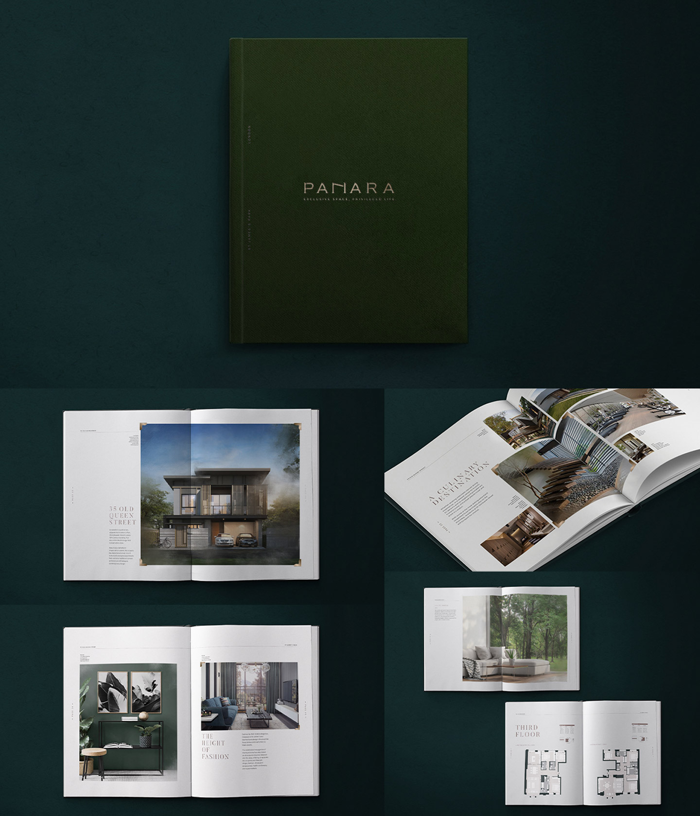Panara-Brochure-Design
