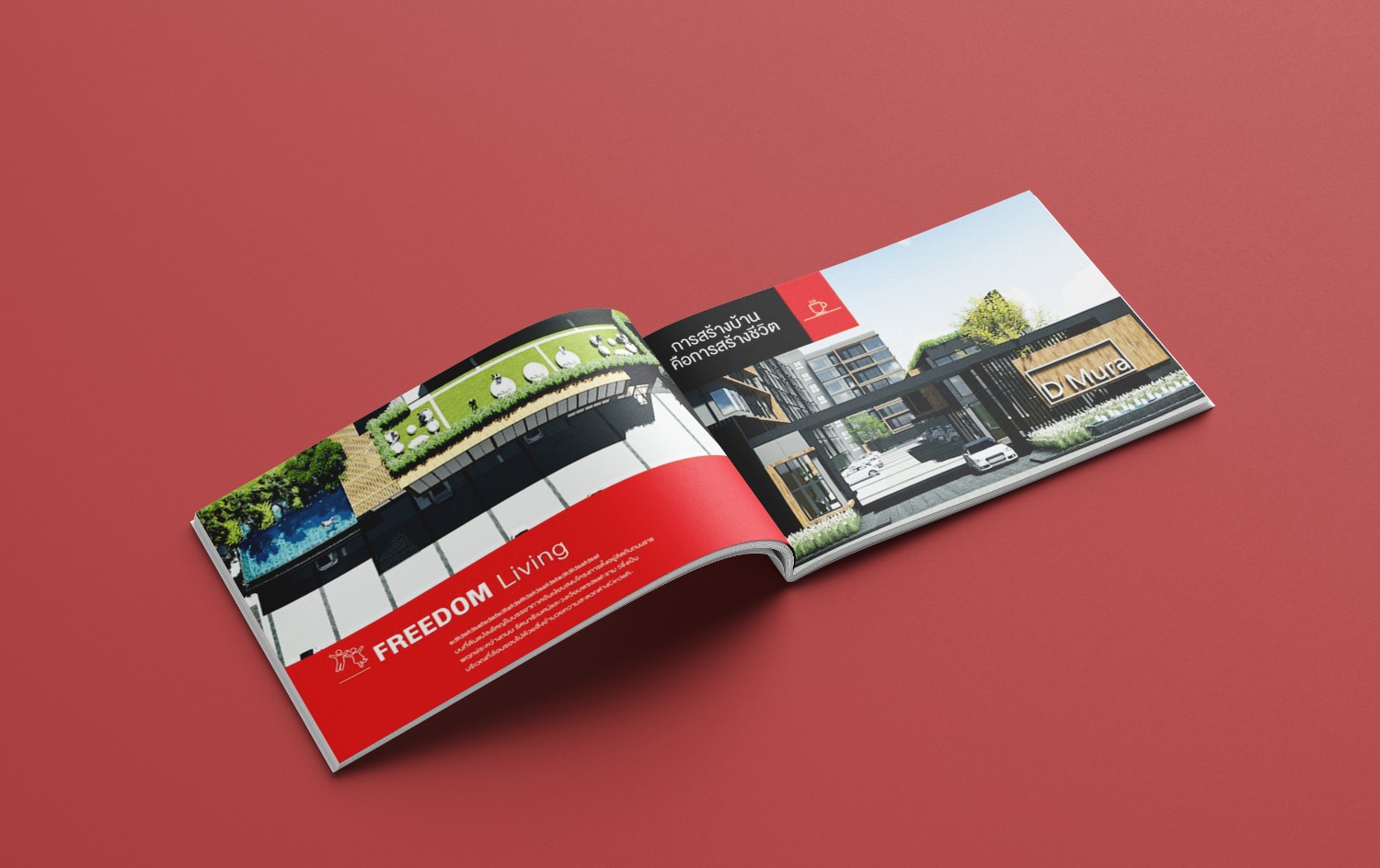 d'mura-brochure2 D'MURA-H