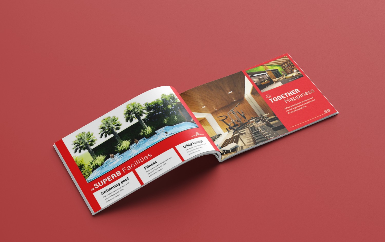 d'mura-brochure3 D'MURA-H